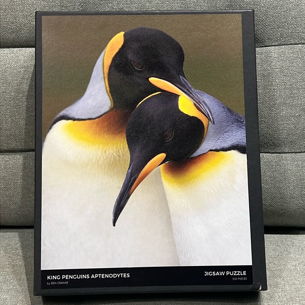 Fine Art King Penguins Aptenodytes by Ben Cranke jigsaw puzzle